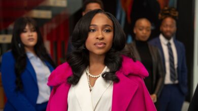 Beauty in Black Season 3: Release Window Confirmed and Final Chapter Announced for the Netflix Family Drama