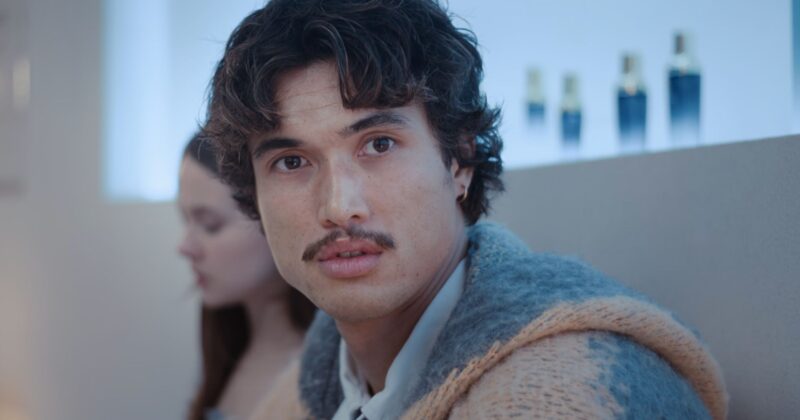 Beef Season 2: The Cycles of Power, Ambition, and Disillusion That Haunt Ashley & Austin's Rise