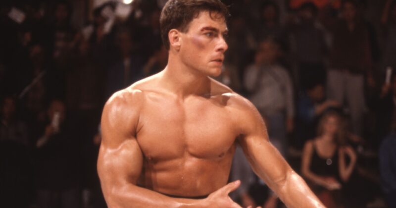 Bloodhounds Season 2: The Martial Arts K-Drama That Rivals Bloodsport's Legacy