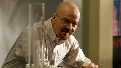 Bryan Cranston Offers a Nuanced Defense of Skyler White: Breaking Bad's Most Polarizing Character
