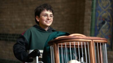 HBO's Harry Potter Series Enters Exciting New Era With Season 2 Already In Development