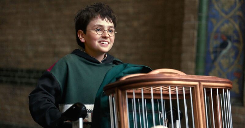 HBO's Harry Potter Series Enters Exciting New Era With Season 2 Already In Development