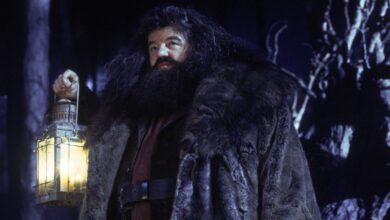 HBO's Harry Potter Series Revives an Iconic Hagrid Scene Never Seen in Cinemas