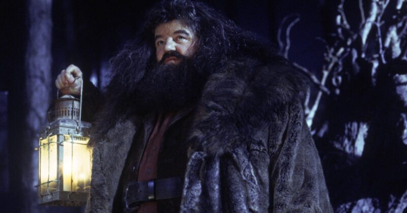 HBO's Harry Potter Series Revives an Iconic Hagrid Scene Never Seen in Cinemas