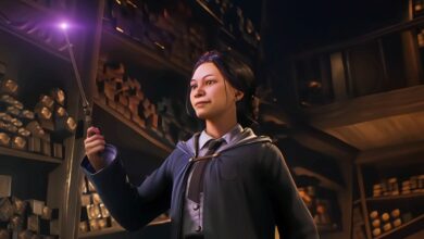 Hogwarts Legacy Sequel Sparks Intense Debate Over Live-Service Rumors