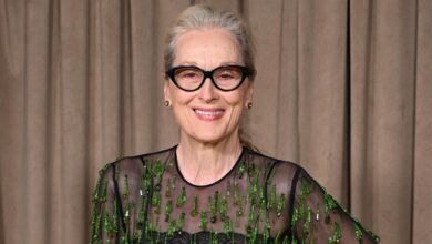 Meryl Streep Headlines Netflix’s Ambitious Adaptation of Literary Classic ‘The Corrections’
