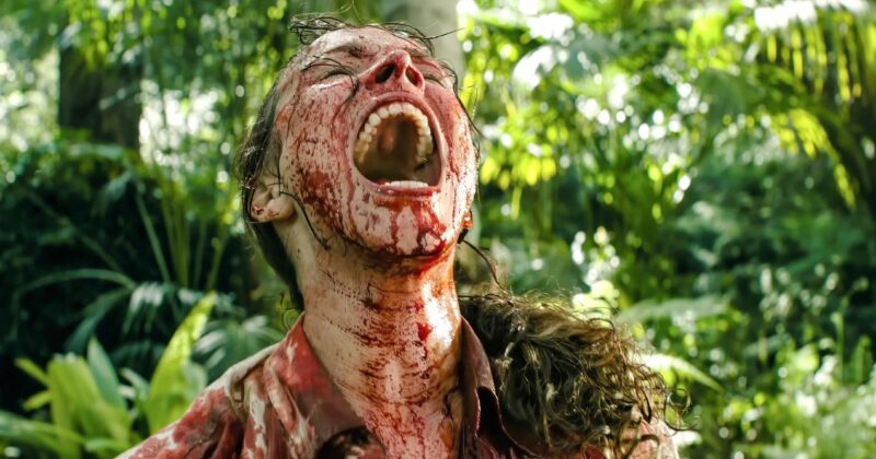 Rachel McAdams Shines in Sam Raimi’s Send Help: A Masterful Collision of “Eat the Rich” and “Good For Her” Horror