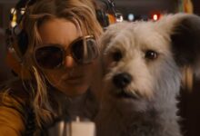 Supergirl’s Upcoming Film Redefines Krypto’s Role in the DCU