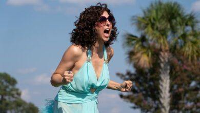 The Righteous Gemstones: How HBO's Wild Comedy Redefined Risk and Action on TV