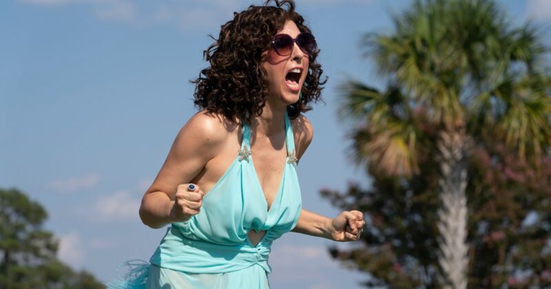 The Righteous Gemstones: How HBO's Wild Comedy Redefined Risk and Action on TV