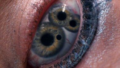 The Substance: HBO Max's Sci-Fi Triumph with Stunning Visuals and Bold Storytelling