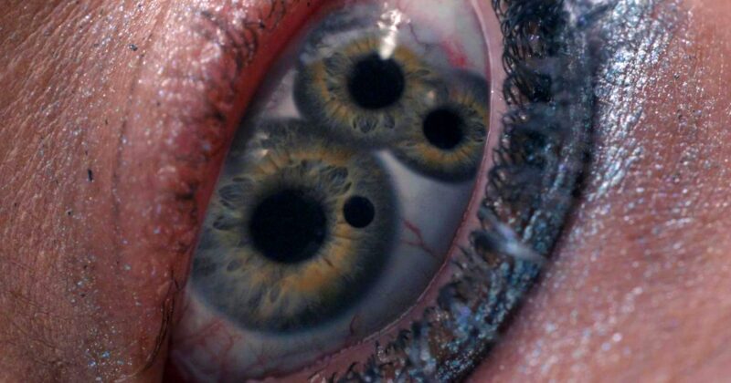 The Substance: HBO Max's Sci-Fi Triumph with Stunning Visuals and Bold Storytelling