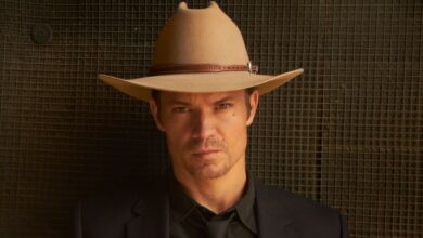 The Ultimate Lineup: Top Action Series Rivaling Reacher for the 'Dad Show' Throne