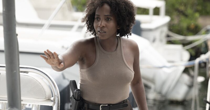 The Ultra-Elite List: HBO Max Series That Scored a Perfect 100% on Rotten Tomatoes