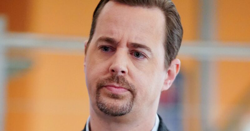 Timothy McGee’s Surprising Future in NCIS: Leadership, Legacy, and the Ultimate Promotion