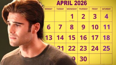 Why 9-1-1 and Its Nashville Spinoff Are on Break – When the Drama Returns