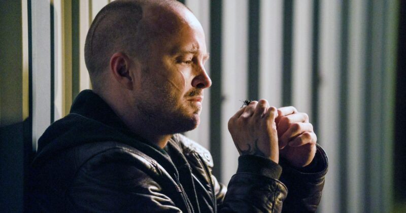 Why Aaron Paul Should Return as Caleb Nichols—Not Jesse Pinkman