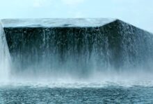 Why 'Dune: Part Two' Dominates HBO Max As The Must-Watch Sci-Fi Epic