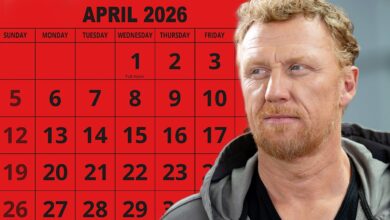 Why Grey’s Anatomy Is Taking a Break: Release Date for Season 22 Episode 17 and What’s Next at Grey Sloan