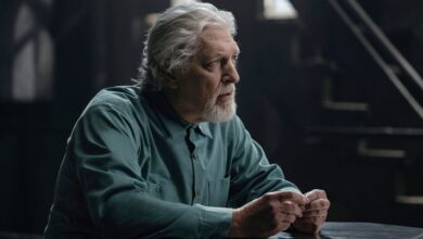 Why HBO's 'The Penguin' Boasts One of the Most Impressive Casts in Modern Crime TV