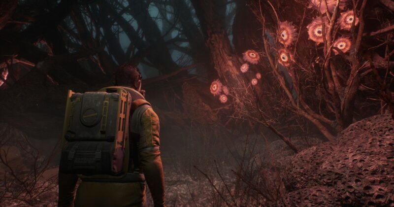 Regeneration: El horror lovecraftiano que combina La Última de Nosotros y Stranger Things