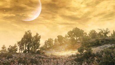El Debate sobre el Escenario de Elden Ring 2: ¿Precuela, Secuela o Expansión de su Mundo?