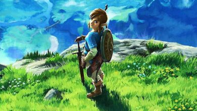 La Transformación de Link en The Legend of Zelda: ¿Fin de una Era para la Saga Wilds?