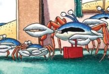 El Humor Inolvidable de The Far Side en la Playa: Los Cómics Más Divertidos y Absurdos