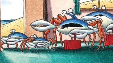 El Humor Inolvidable de The Far Side en la Playa: Los Cómics Más Divertidos y Absurdos