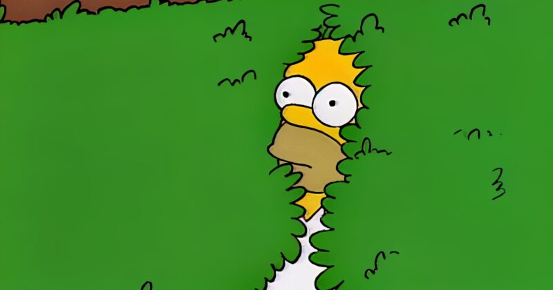 El Meme Icónico de 'Homero en los Arbustos' de Los Simpsons: Un Engaño que Lleva Más de Tres Décadas