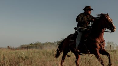 Dutton Ranch episodio 3: el dramático golpe a Beth y Rip que marca un antes y un después