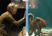 Sumérgete en Remarkably Bright Creatures antes del esperado estreno con Sally Field en Netflix