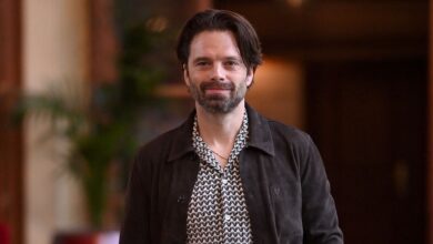 Sebastian Stan Brilla en Fjord, Drama aclamado en Cannes con 91% en Rotten Tomatoes