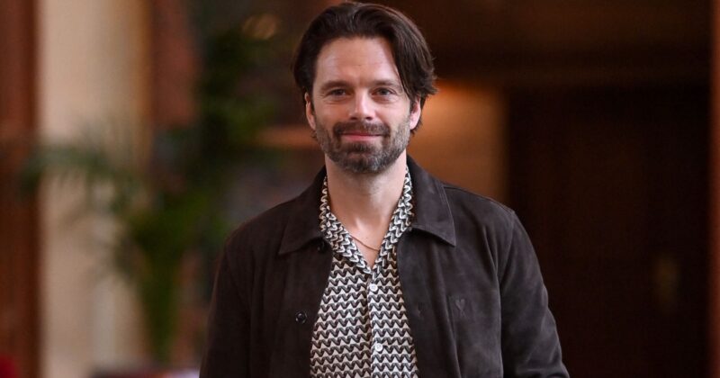 Sebastian Stan Brilla en Fjord, Drama aclamado en Cannes con 91% en Rotten Tomatoes