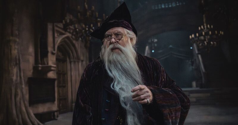 Harry Potter y Magic: The Gathering: La actualización oficial que divide a los fans