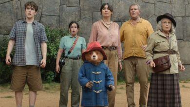 Paddington 4 está en desarrollo: el regreso del oso más entrañable a la pantalla grande