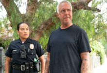 Dark Winds: La Serie Noir que Reemplaza con Éxito a Bosch y Eleva el Drama Criminal en Netflix