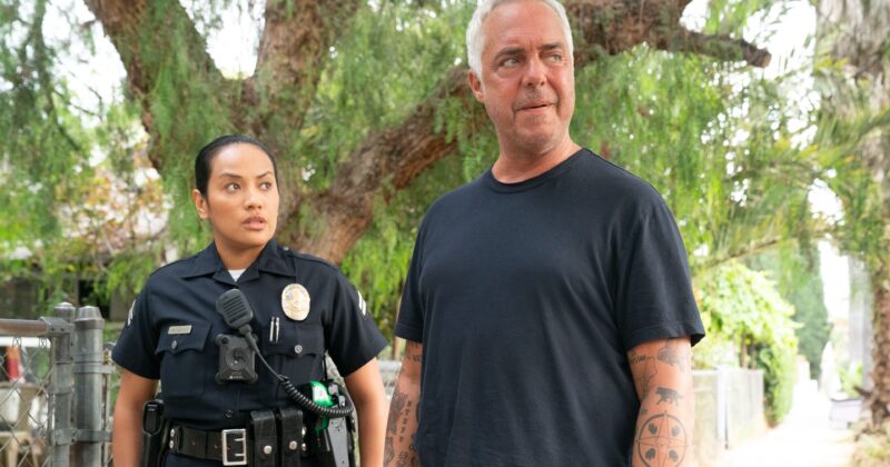 Dark Winds: La Serie Noir que Reemplaza con Éxito a Bosch y Eleva el Drama Criminal en Netflix