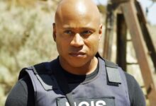 Por qué CBS apuesta por NCIS: New York y descarta la segunda temporada de Tony & Ziva