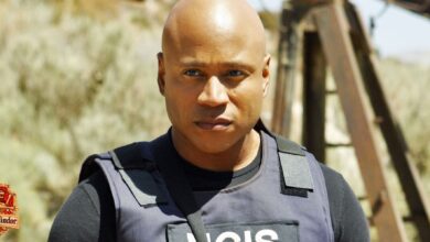 Por qué CBS apuesta por NCIS: New York y descarta la segunda temporada de Tony & Ziva