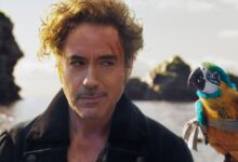 Doctor Dolittle: Nuevo reinicio animado inicia producción tras el fracaso de Robert Downey Jr.