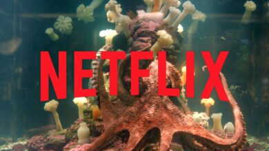 Remarkably Bright Creatures: la película de misterio y fantasía que conquista Netflix y destrona récords