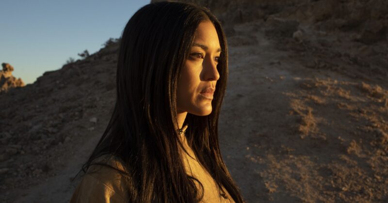 Westworld: El western de ciencia ficción de HBO con uno de los repartos más impresionantes de la televisión moderna
