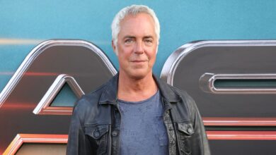 Titus Welliver Regresa con 'The Westies', un Cruel y Realista Drama Criminal Ambientado en los 80's