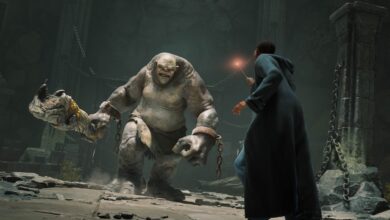 Hogwarts Legacy 2: Entre la Expectativa y la Controversia por su Rumoreado Multijugador