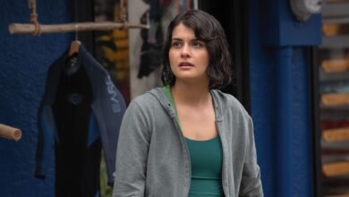 Remarkably Bright Creatures: La película de Netflix que une la calidez de The Golden Girls con la emoción de This Is Us