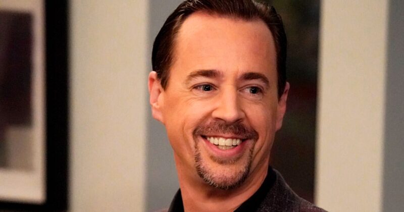 El reemplazo ideal de McGee en NCIS abre la puerta a una salida épica para Sean Murray