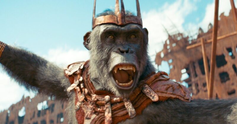 El Renacer de Planet of the Apes: Nuevo Reboot con Matt Shakman al Mando