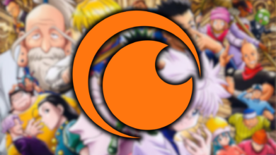 La retirada inesperada de Hunter x Hunter de Crunchyroll en un momento clave para la serie