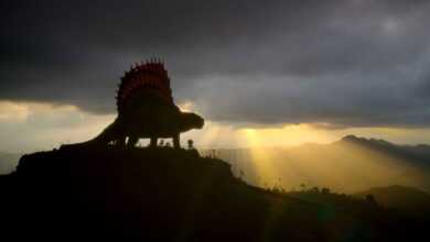 Surviving Earth: la épica docuserie de NBC que revive la historia de la vida tras desastres naturales